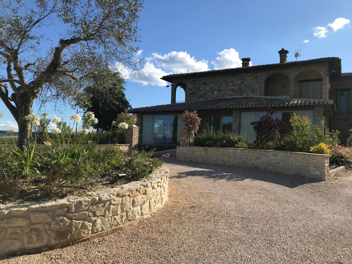 Agriturismo Fattoria Di Monticello San Venanzo Zewnętrze zdjęcie