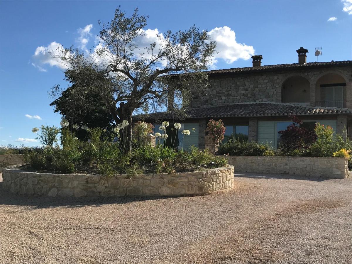 Agriturismo Fattoria Di Monticello San Venanzo Zewnętrze zdjęcie