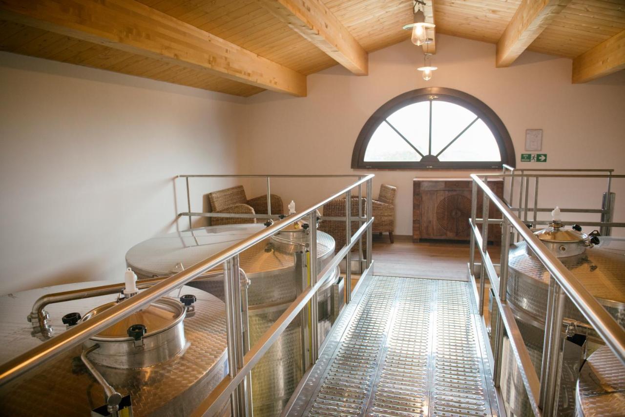 Agriturismo Fattoria Di Monticello San Venanzo Zewnętrze zdjęcie