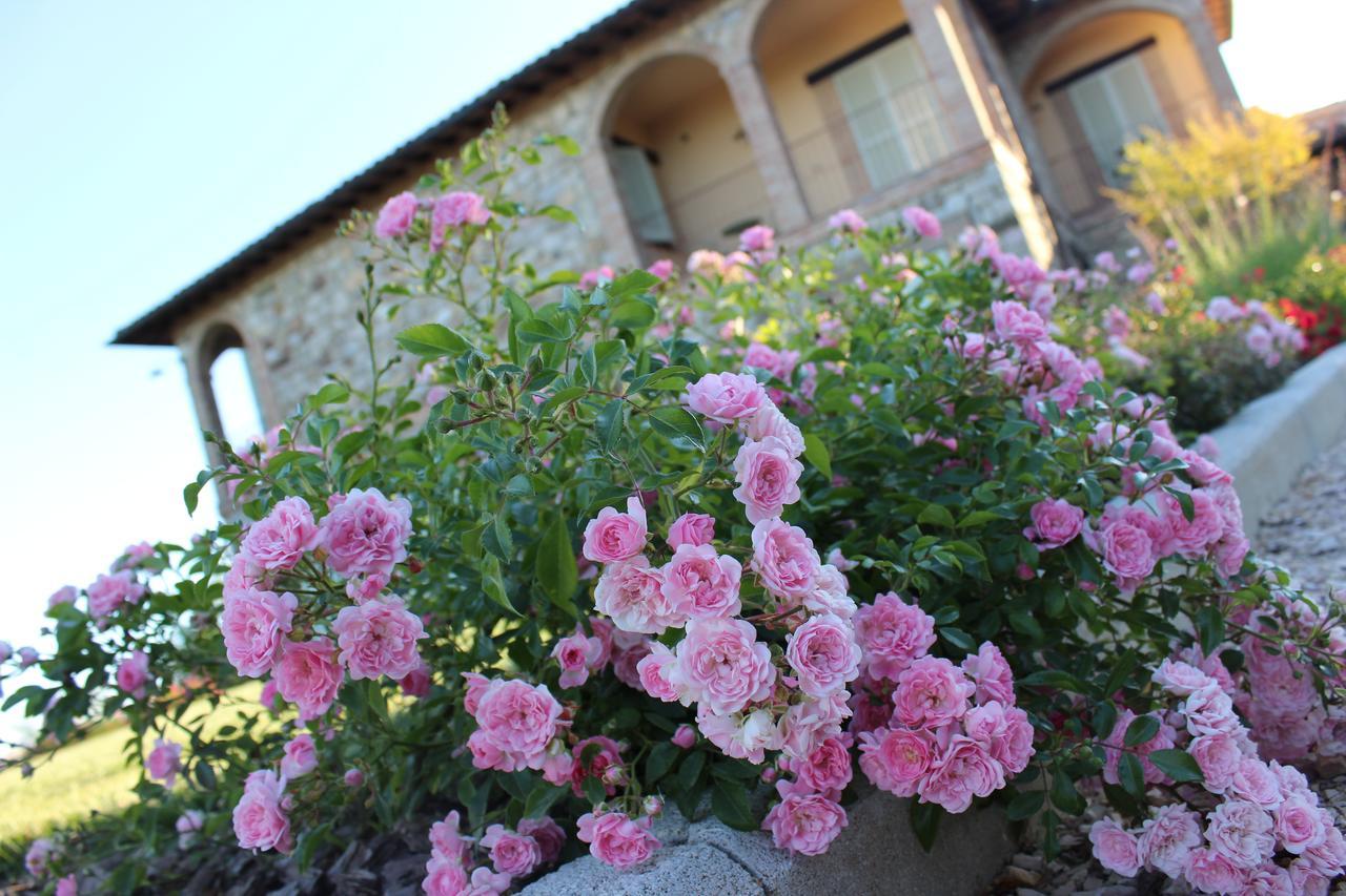 Agriturismo Fattoria Di Monticello San Venanzo Zewnętrze zdjęcie