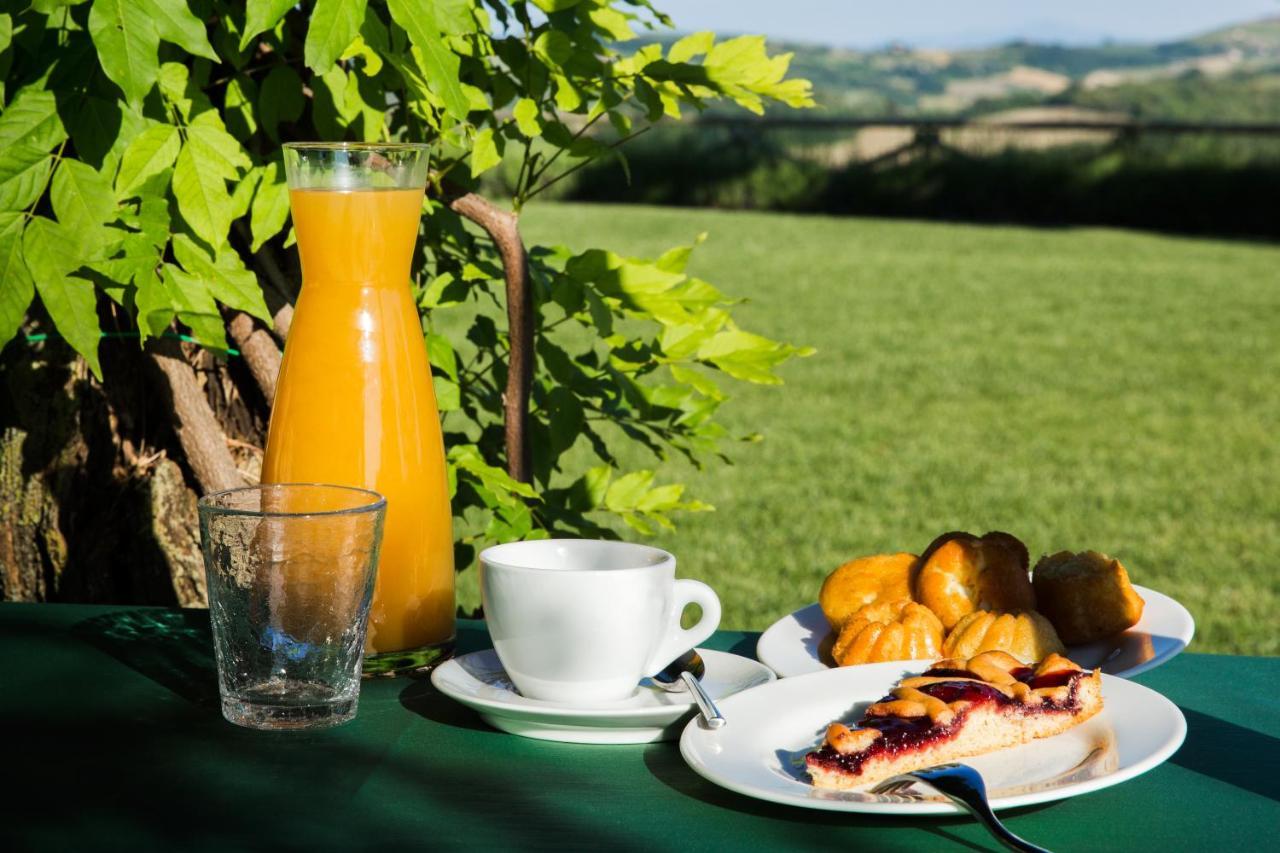 Agriturismo Fattoria Di Monticello San Venanzo Zewnętrze zdjęcie